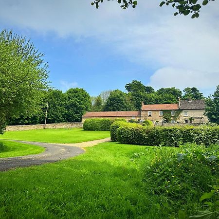 Old Orchard Cottage, Wykeham Scarborough Kültér fotó