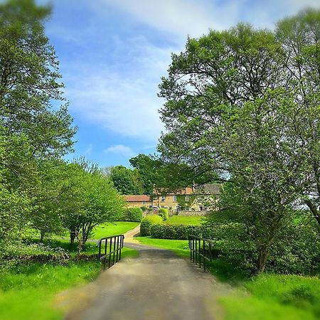 Old Orchard Cottage, Wykeham Scarborough Kültér fotó