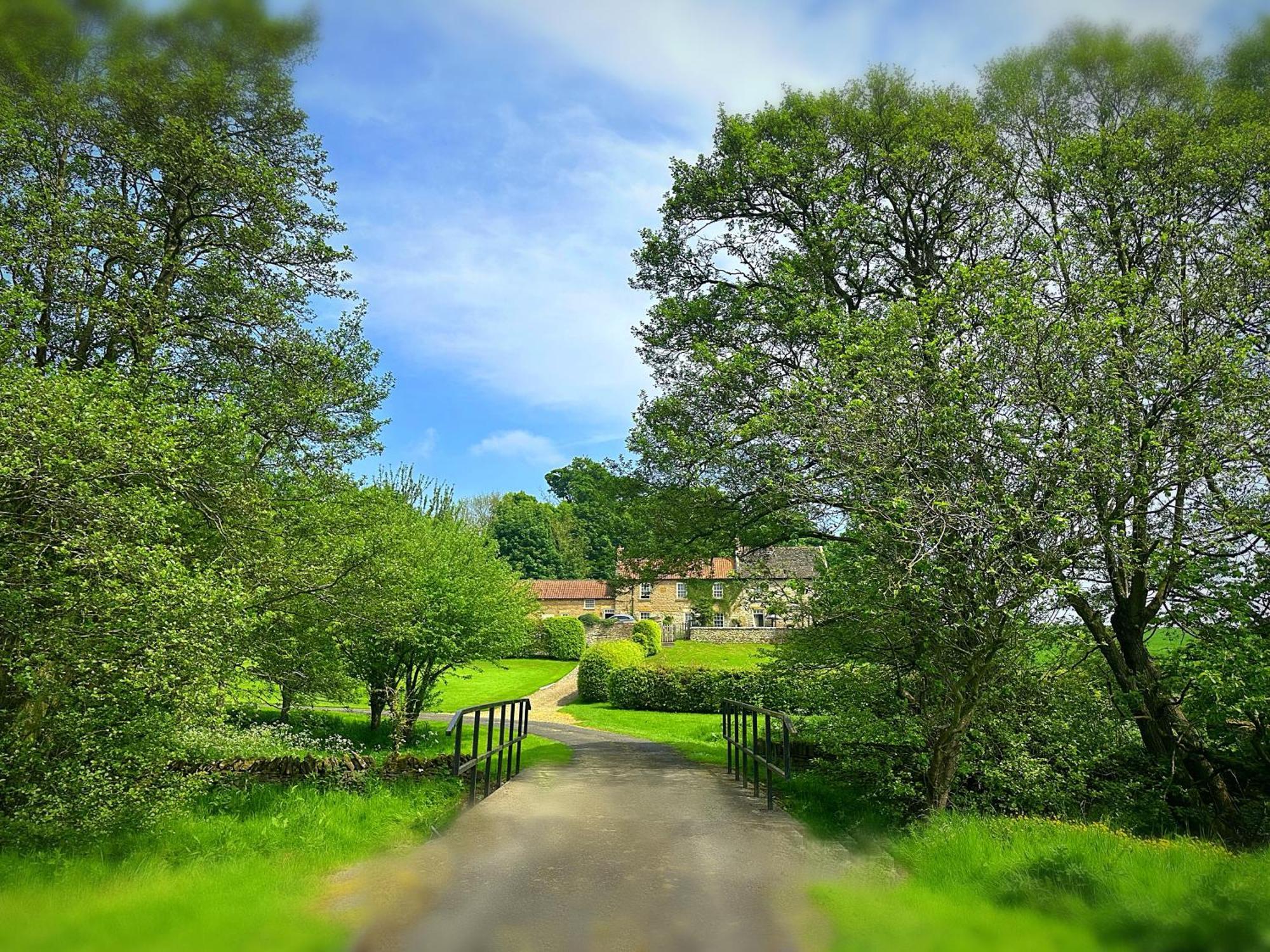 Old Orchard Cottage, Wykeham Scarborough Kültér fotó